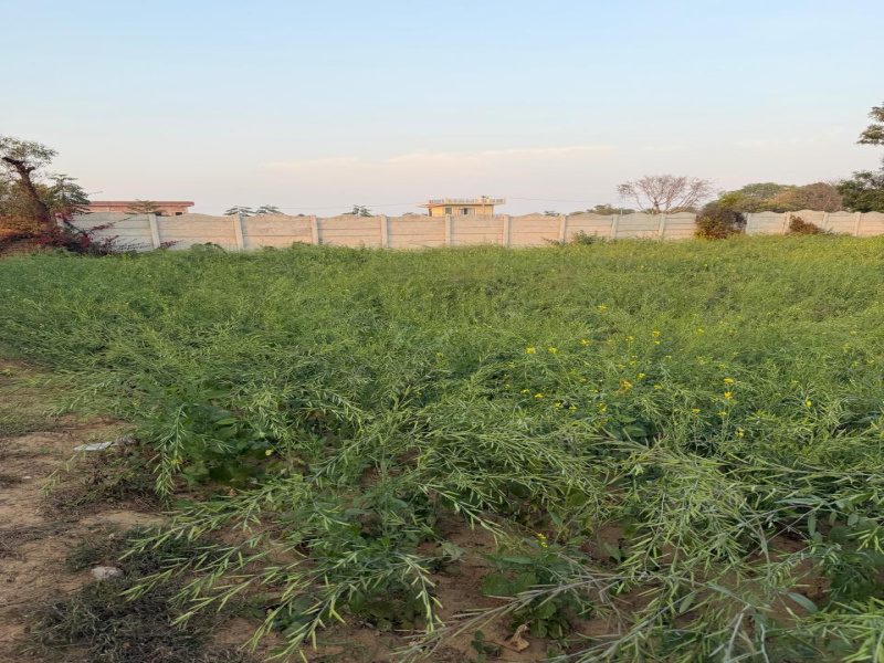  2 Acre Agricultural/Farm Land for Sale in Naugaon, Alwar