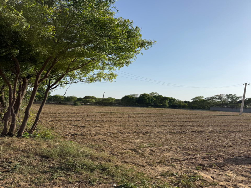  2 Acre Agricultural/Farm Land for Sale in Sohna Road, Faridabad