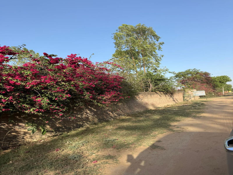  1 Acre Agricultural/Farm Land for Sale in Sohna, Gurgaon