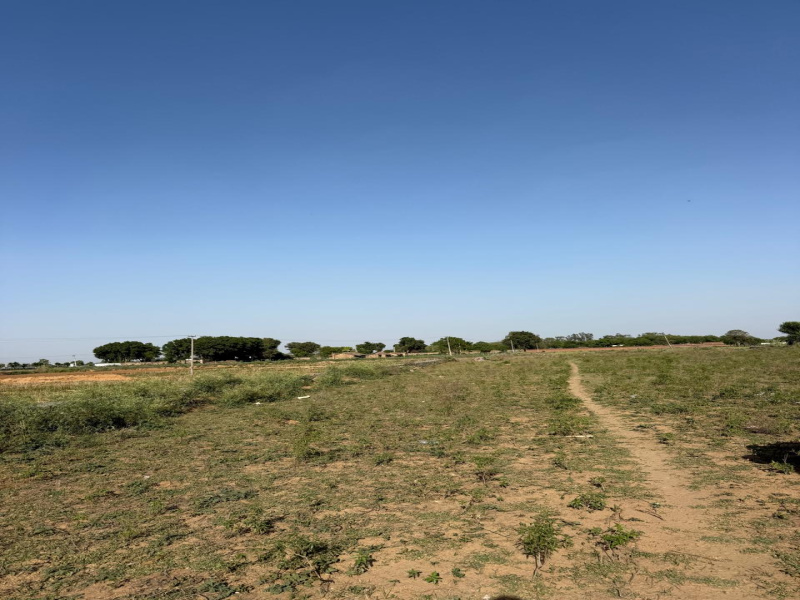  1 Acre Agricultural/Farm Land for Sale in Sohna, Gurgaon