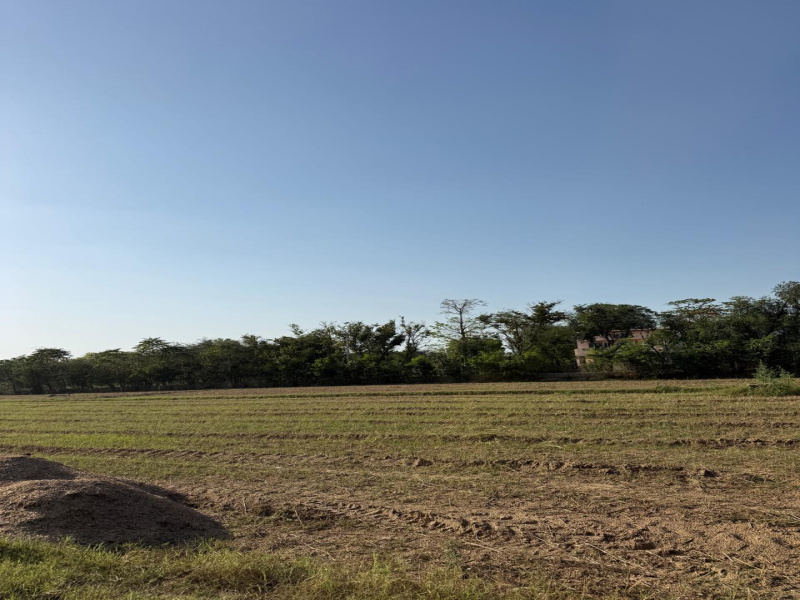  1 Acre Agricultural/Farm Land for Sale in Sohna, Gurgaon