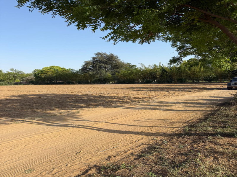  1 Acre Agricultural/Farm Land for Sale in Sohna Road, Faridabad