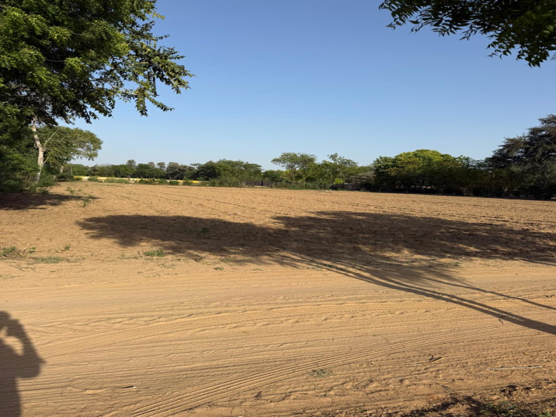  1 Acre Agricultural/Farm Land for Sale in Sohna Road, Faridabad