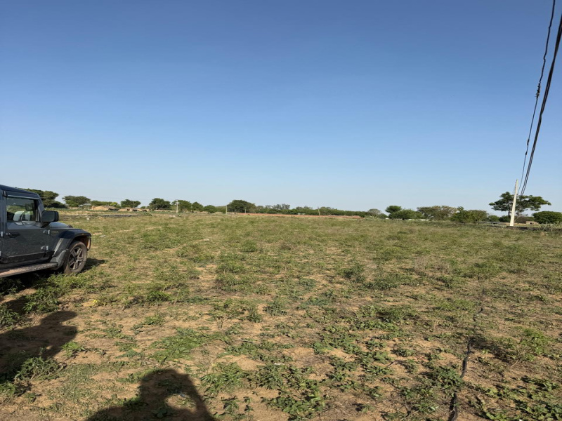  7 Bigha Agricultural/Farm Land for Sale in Naugaon, Alwar