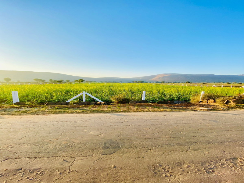  15 Bigha Agricultural/Farm Land for Sale in Pahari, Bharatpur