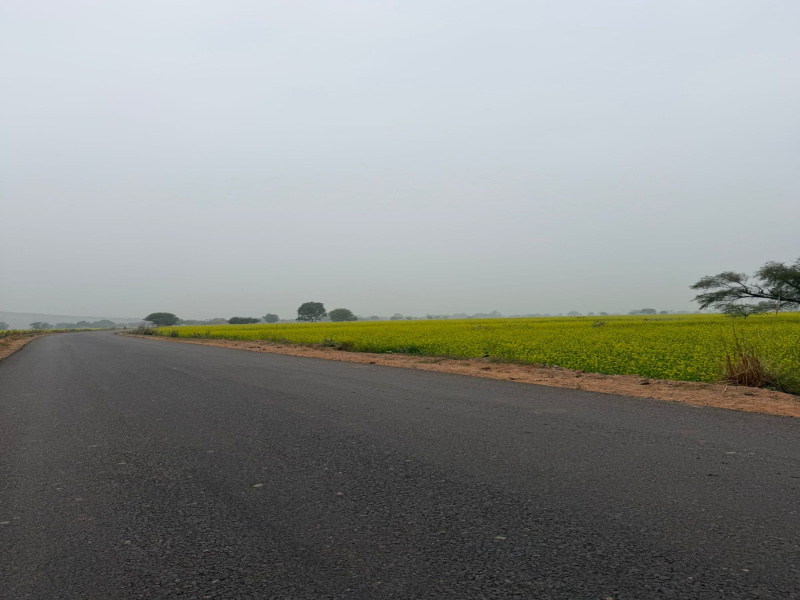  15 Bigha Agricultural/Farm Land for Sale in Pahari, Bharatpur
