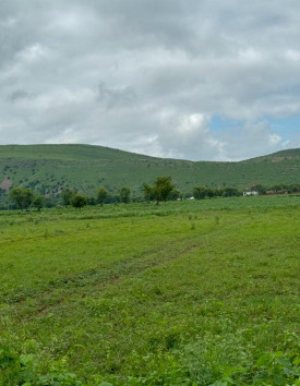  15 Bigha Agricultural/Farm Land for Sale in Naugaon, Alwar