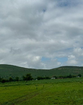  15 Bigha Agricultural/Farm Land for Sale in Naugaon, Alwar