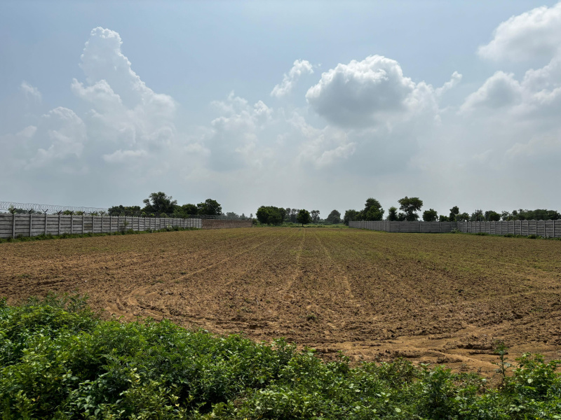  22 Bigha Agricultural/Farm Land for Sale in Naugaon, Alwar