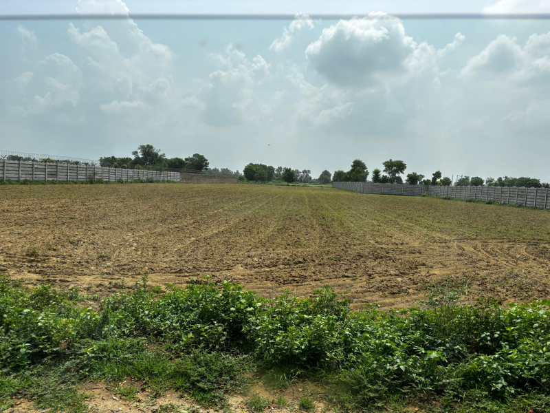  22 Bigha Agricultural/Farm Land for Sale in Naugaon, Alwar