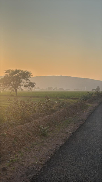  7 Bigha Agricultural/Farm Land for Sale in Pahari, Bharatpur