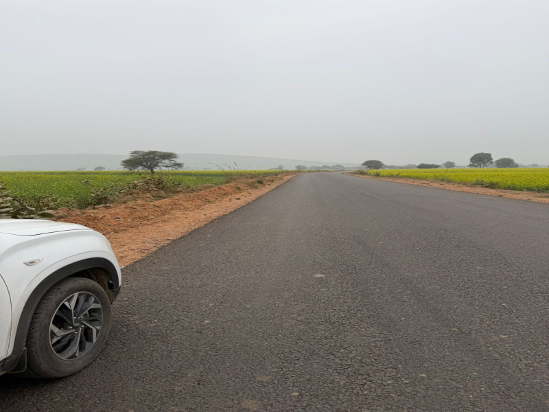  12 Bigha Agricultural/Farm Land for Sale in Pahari, Bharatpur