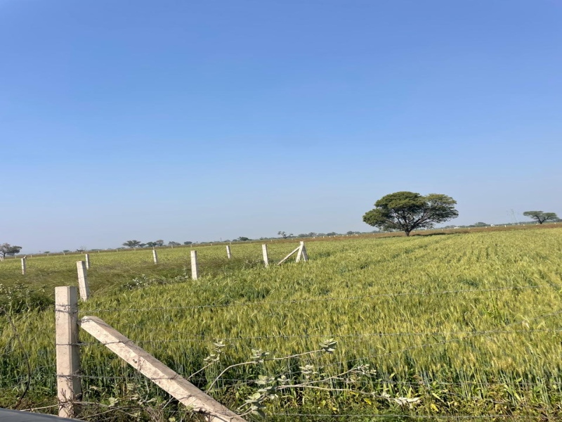  32 Bigha Agricultural/Farm Land for Sale in Pahari, Bharatpur