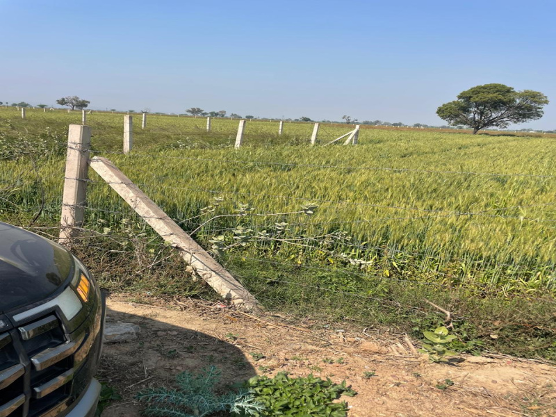  32 Bigha Agricultural/Farm Land for Sale in Pahari, Bharatpur