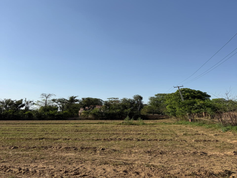  2420 Sq. Yards Agricultural/Farm Land for Sale in Sohna Road, Faridabad