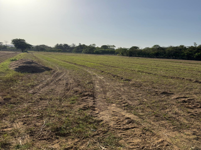  5 Bigha Agricultural/Farm Land for Sale in Naugaon, Alwar