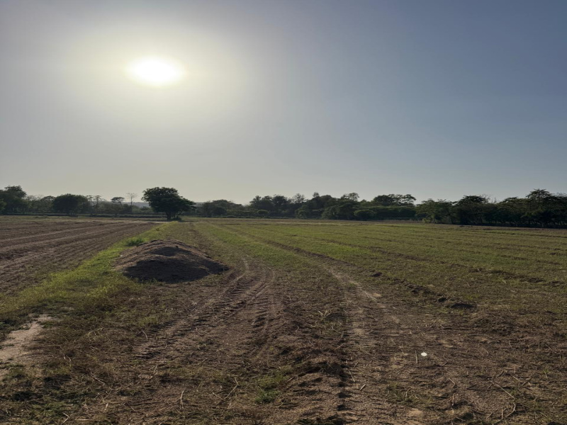  5 Bigha Agricultural/Farm Land for Sale in Naugaon, Alwar
