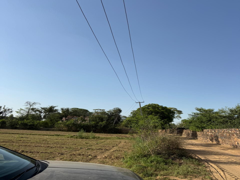  5 Bigha Agricultural/Farm Land for Sale in Naugaon, Alwar