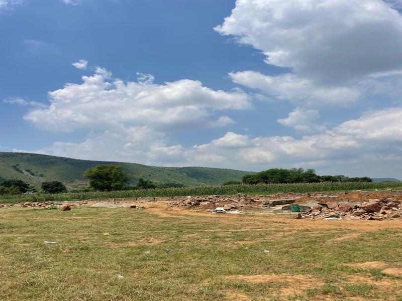  7 Bigha Agricultural/Farm Land for Sale in Naugaon, Alwar