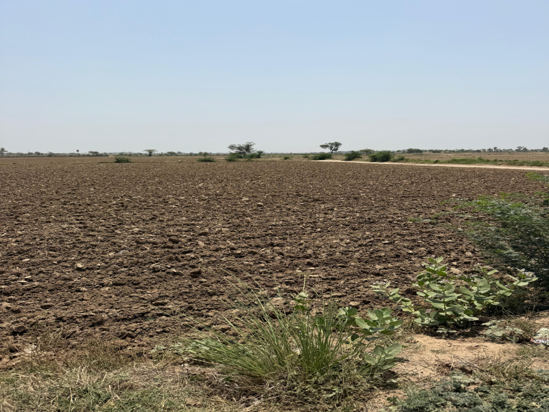  30 Bigha Agricultural/Farm Land for Sale in Pahari, Bharatpur