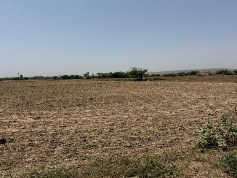  30 Bigha Agricultural/Farm Land for Sale in Pahari, Bharatpur