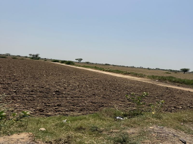  30 Bigha Agricultural/Farm Land for Sale in Pahari, Bharatpur