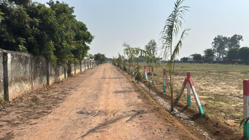  15 Bigha Agricultural/Farm Land for Sale in Pahari, Bharatpur