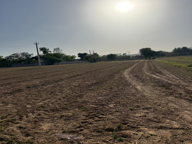  2420 Sq. Yards Agricultural/Farm Land for Sale in Sohna, Gurgaon