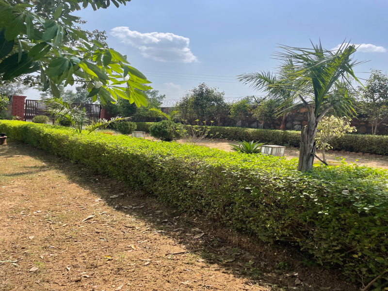  1210 Sq. Yards Agricultural/Farm Land for Sale in Sohna, Gurgaon
