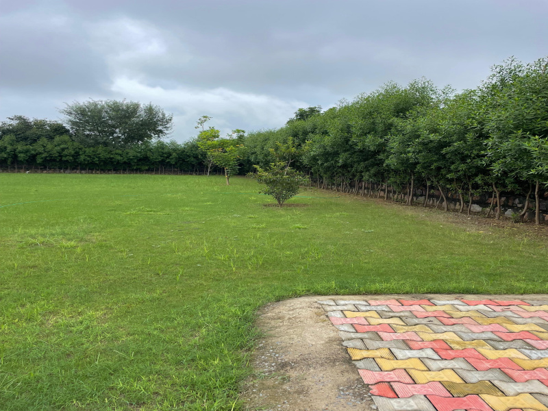  1210 Sq. Yards Agricultural/Farm Land for Sale in Sohna, Gurgaon