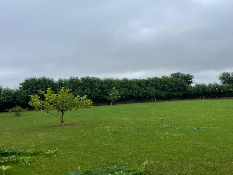  1210 Sq. Yards Agricultural/Farm Land for Sale in Sohna, Gurgaon