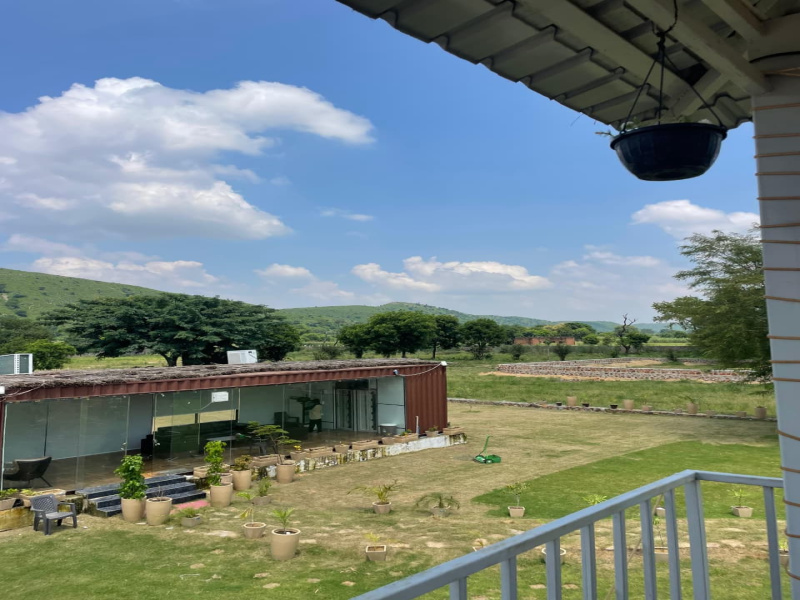  5 Bigha Agricultural/Farm Land for Sale in Naugaon, Alwar
