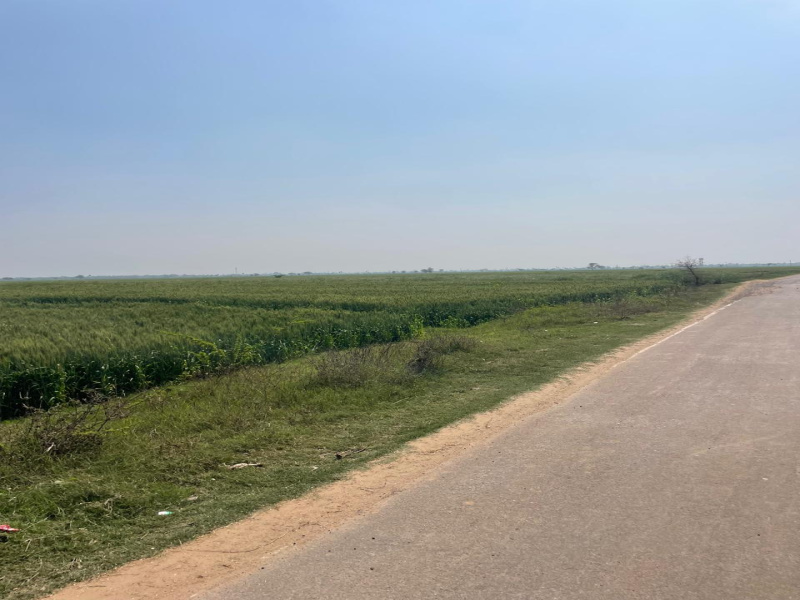  7 Bigha Agricultural/Farm Land for Sale in Naugaon, Alwar