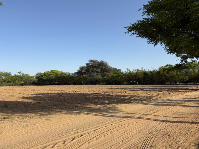  3 Acre Agricultural/Farm Land for Sale in Sohna Road, Faridabad