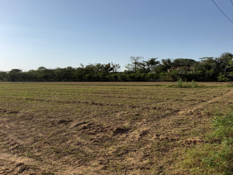  3 Acre Agricultural/Farm Land for Sale in Sohna Road, Faridabad