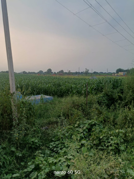  Agricultural Land for Sale in Jewar, Gautam Buddha Nagar