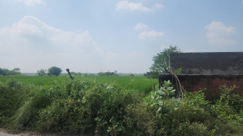  Residential Plot for Sale in Khair, Aligarh