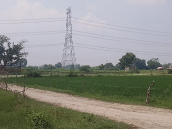  Agricultural Land for Sale in Jewar, Gautam Buddha Nagar