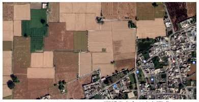  Agricultural Land for Sale in Nakodar, Jalandhar