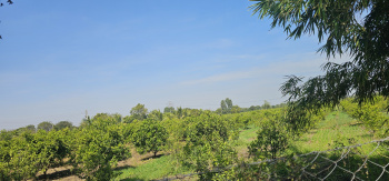  Agricultural Land for Sale in Sambhaji Nagar, Aurangabad
