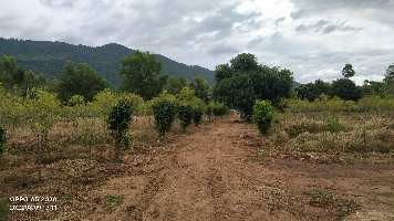 Agricultural Land for Sale in Vepada, Vizianagaram