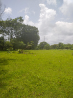  Agricultural Land for Sale in Wada, Palghar