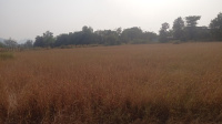  Agricultural Land for Sale in Vikramgad, Palghar