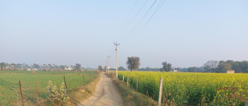  Agricultural Land for Rent in Pachgaon, Gurgaon