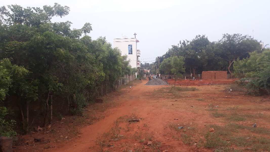  Agricultural Land 2400 Sq.ft. for Sale in Auroville Pondicherry