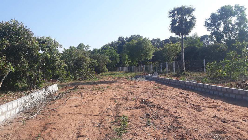  Agricultural Land 2400 Sq.ft. for Sale in Auroville Pondicherry