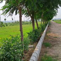  Residential Plot for Sale in Sector 9 Ambala