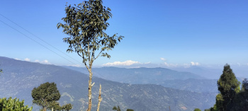  Commercial Land for Sale in Kurseong, Darjeeling