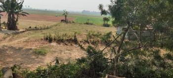  Commercial Land for Sale in Pandua, Hooghly