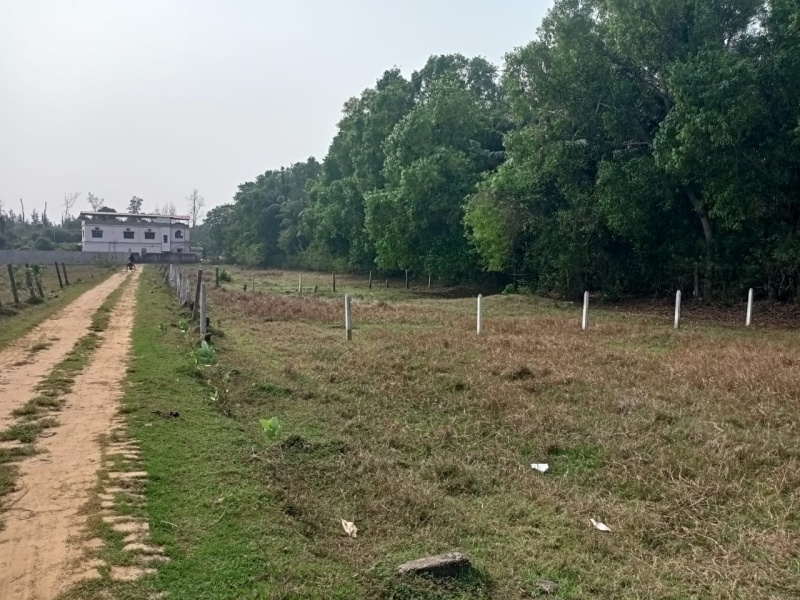  Commercial Land 8 Katha for Sale in Purba Tajpur, Medinipur